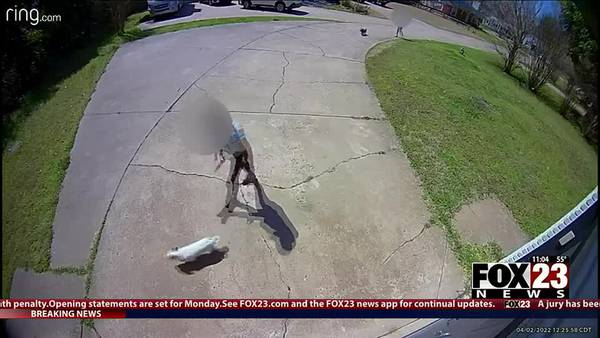 Animal advocates react to video of dog abuse in Tulsa