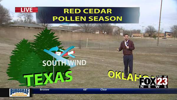 Video: Winds can bring pollen in January and February