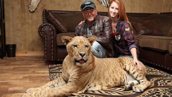 Judge orders Jeff Lowe, of ‘Tiger King’ fame, to pay PETA more than $183,000