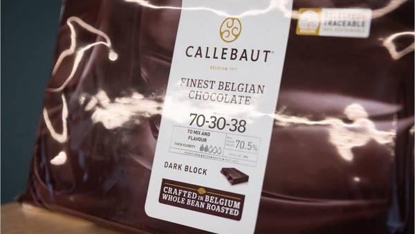 World’s biggest chocolate plant halted after salmonella bacteria detected