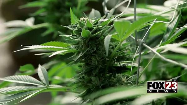 Tulsans voice their opinion about recreational marijuana
