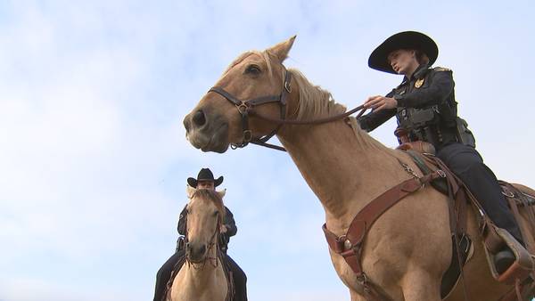 Broken Arrow police adds horses, mounted unit to department