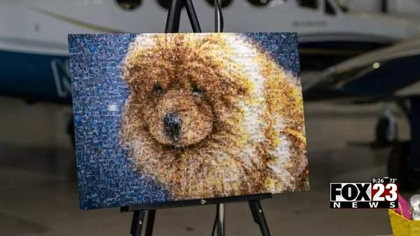 Video: Humane Society volunteer creates mosaic art using hundreds of pet pics