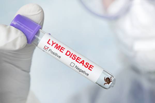 Lyme disease: What is it and how to avoid it