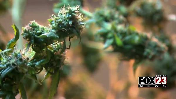 Tulsa businesses give their take on recreational marijuana