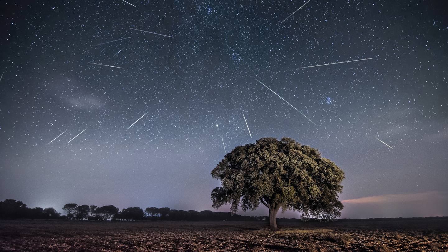 Southern Delta Aquariid, Alpha Capricornid meteor showers 10 photos