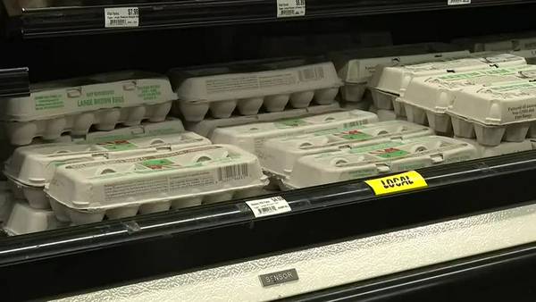 EXPLAINER: Why are Oklahomans paying more for eggs? 