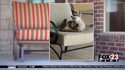 FOX23 Investigates an unexpected thief in a Sperry neighborhood