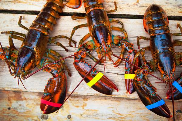 Whole Foods ends sale of Maine lobster, fishermen respond