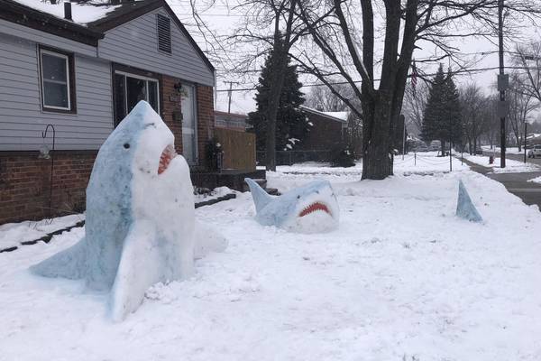 Photos: Art teacher creates sharks out of snow
