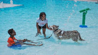 Photos: K9 Splash Party at Tulsa's McClure Park Pool
