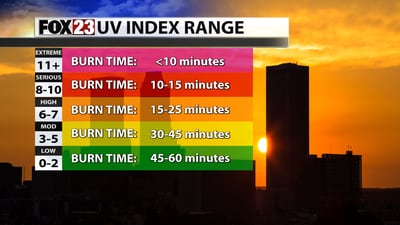 What are the main factors contributing to the UV Index?