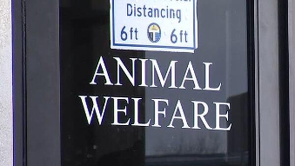 Tulsa Animal Welfare needs funding for expansion