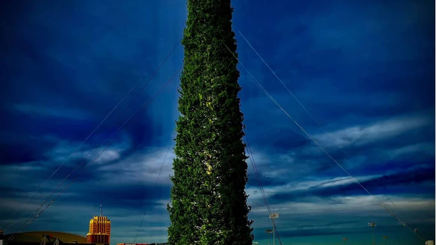 Enid, Oklahoma is home to the tallest 2021 Christmas tree in the world
