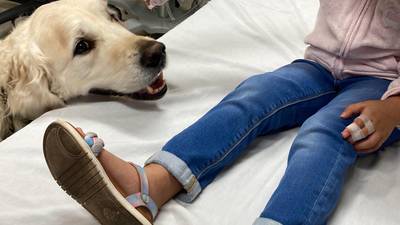 Green Country comfort dog helps those going through trauma
