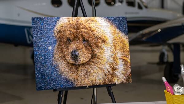 Humane Society volunteer creates mosaic art using hundreds of pet pics