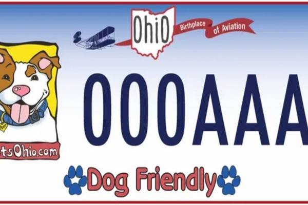 Former pit bull stray from Cleveland newest face on Ohio license plate
