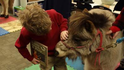 PHOTOS: Mini horses visit first graders to promote literacy