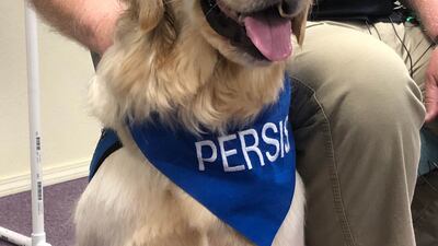 Comfort dog based in Glenpool travels to Uvalde, meets with grieving community