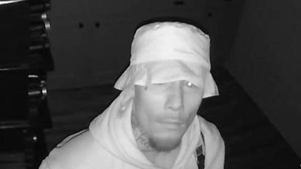 TPD searching for the ‘Gilligan Hat Burglar’
